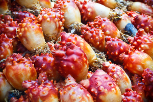 Introducing May Seasonal Foods: Managing Health with Seasonal Ingredients.