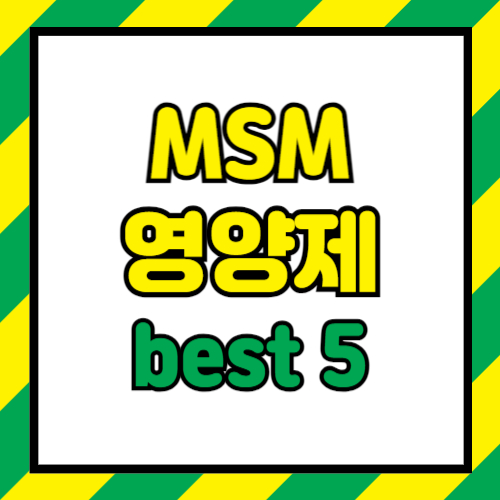 엠에스엠 영양제 추천