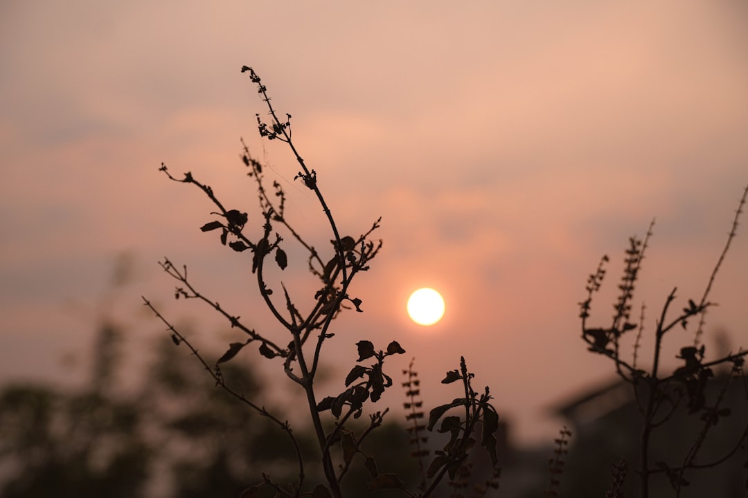 Suncheon