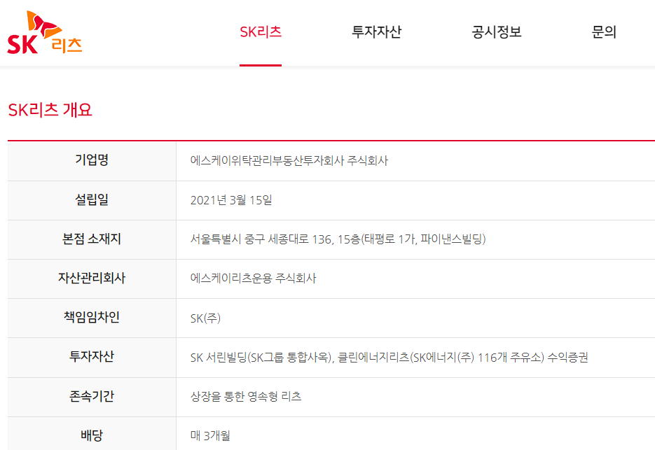 에스케이리츠-사업요약