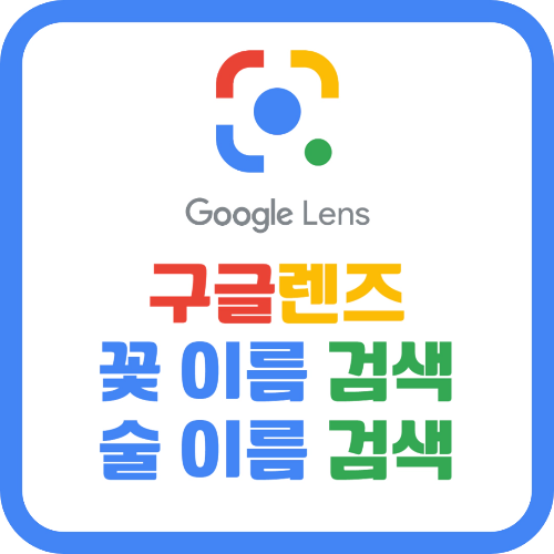 구글 렌즈 다운로드 및 사용방법 ❘ 꽃 이름 검색, 술 이름 검색