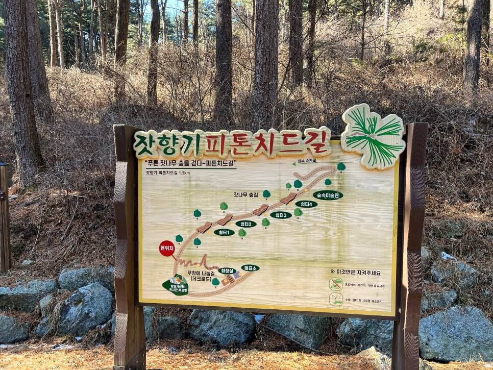 산림청 명품숲길 겨울 트레킹 : 가평 잣향기 피톤치드길 코스&middot;주차&middot;팁