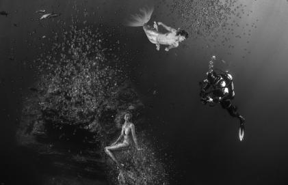 내가 오해했던 감정 하나, 책이 알려준 진실