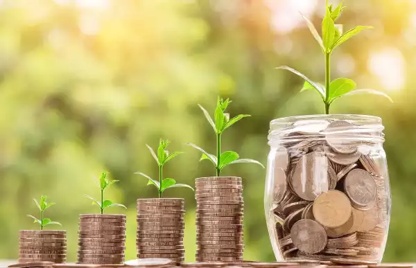 지속 가능한 경제 성장을 상징하는 동전 더미와 자라나는 식물