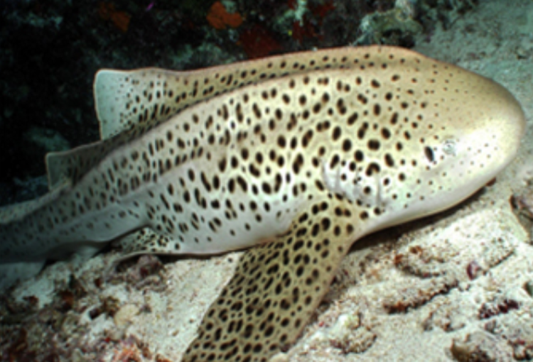 울진 아쿠아리움