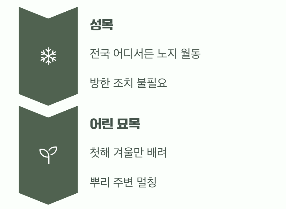 비결 5. 추운 겨울도 거뜬하게&amp;#44; &amp;#39;월동&amp;#39;