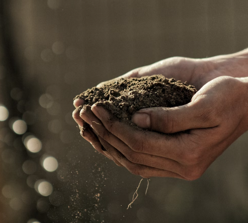 3. 자연 생태계와 생물 다양성 보전을 위한 노력