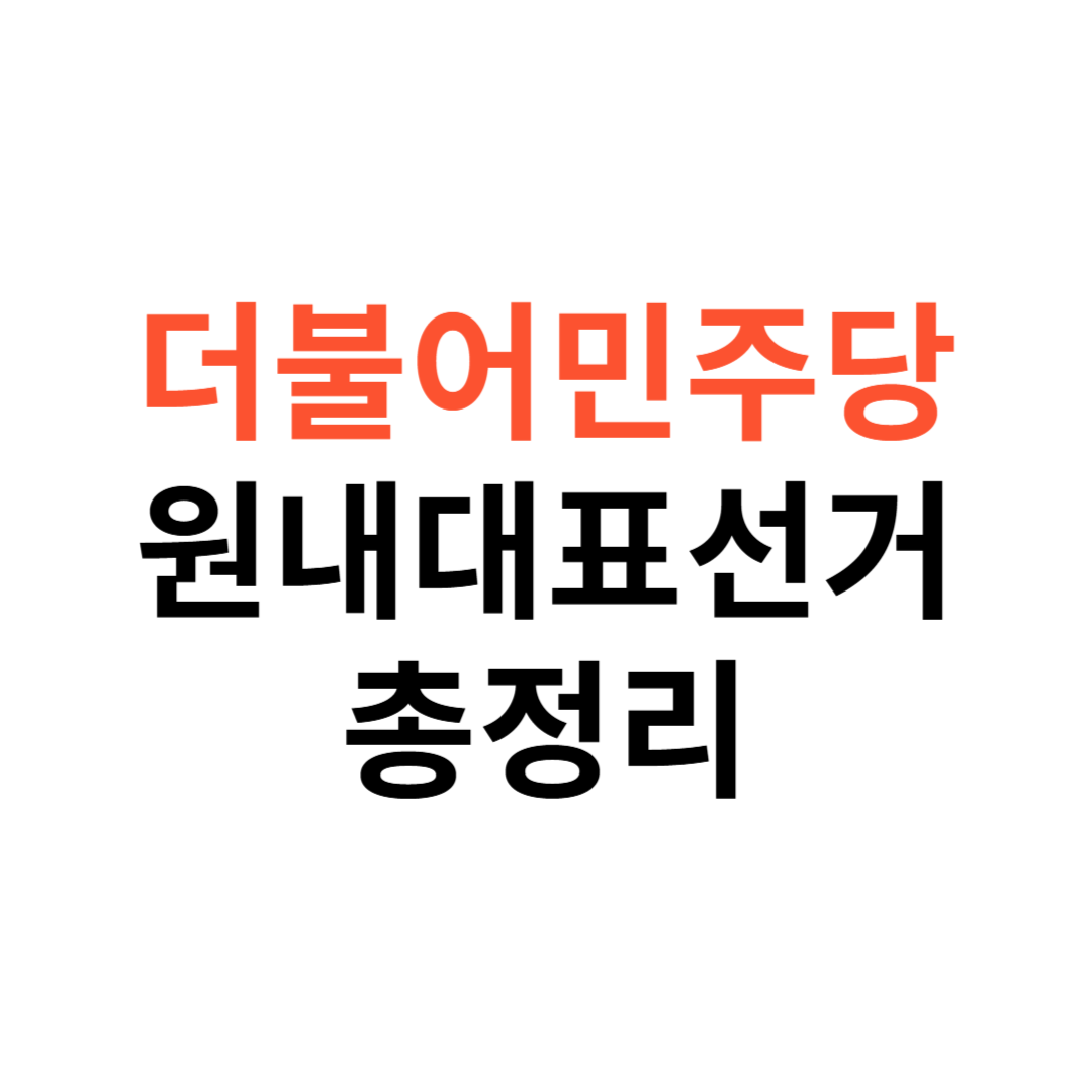 더불어민주당 원내대표