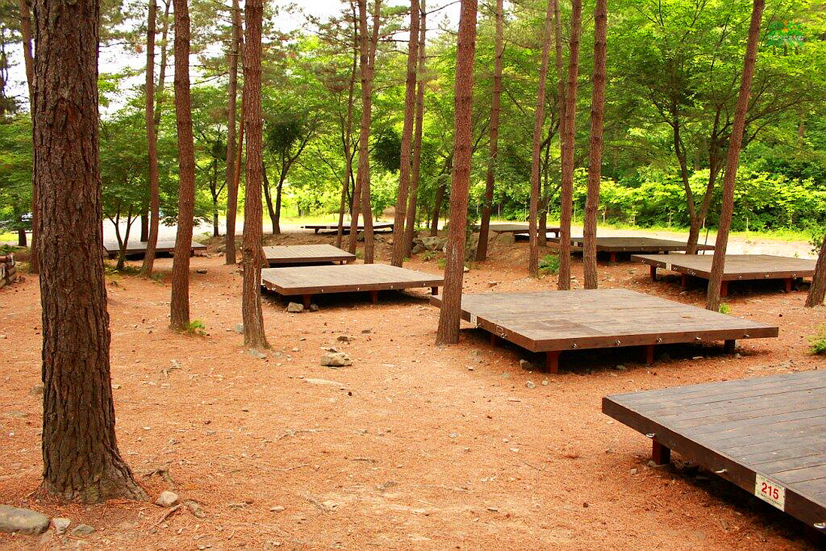 서천 국립 희리산해송자연휴양림