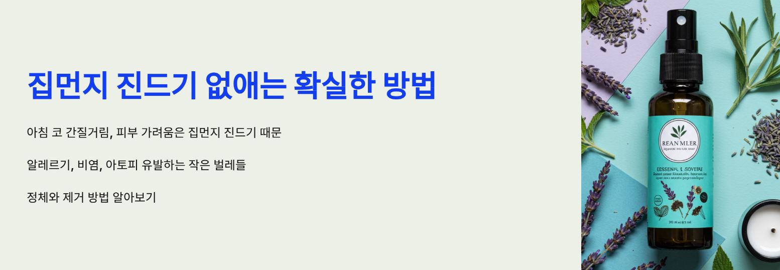 집먼지 진드기 없애는 확실한 방법, 이대로만 하세요!