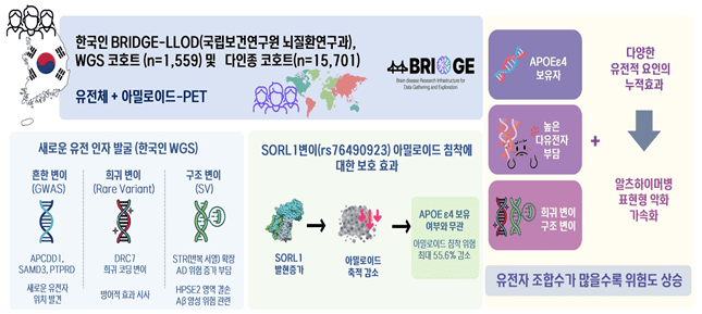 알츠하이머병 유전요인 대거 규명, 맞춤치료 시대 한 걸음 더!