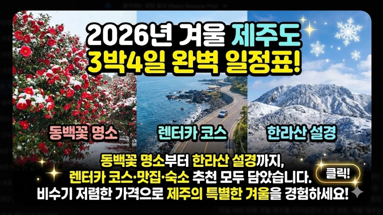 제주도 겨울 여행 3박4일 일정표 완벽 가이드 2026