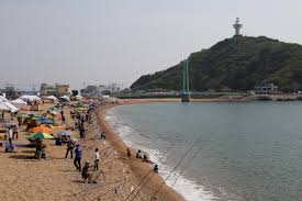 제 14회 영덕 물가자미축제 기본일정과 프로그램 소개 미스트롯3 권연서 출연