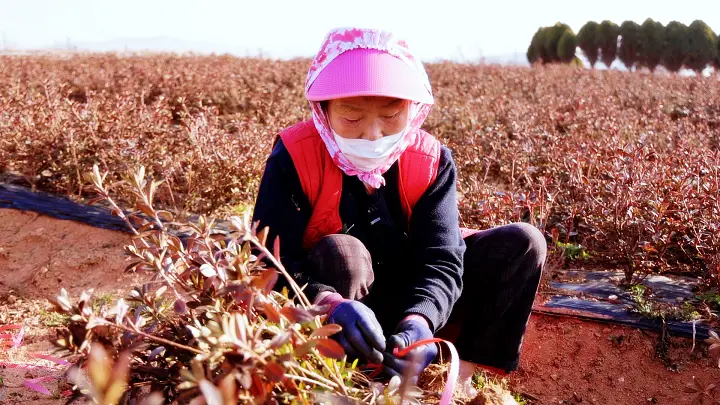 한국인의밥상 민물고기 조림, 닭장, 차돌조리개, 가지절임, 명태조림, 들깨죽, 가마솥닭강정, 등갈비조림 방송