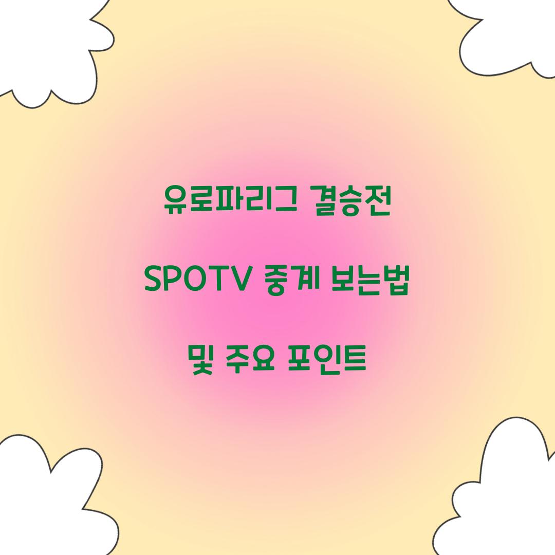 유로파리그 결승전 SPOTV 중계 보는법