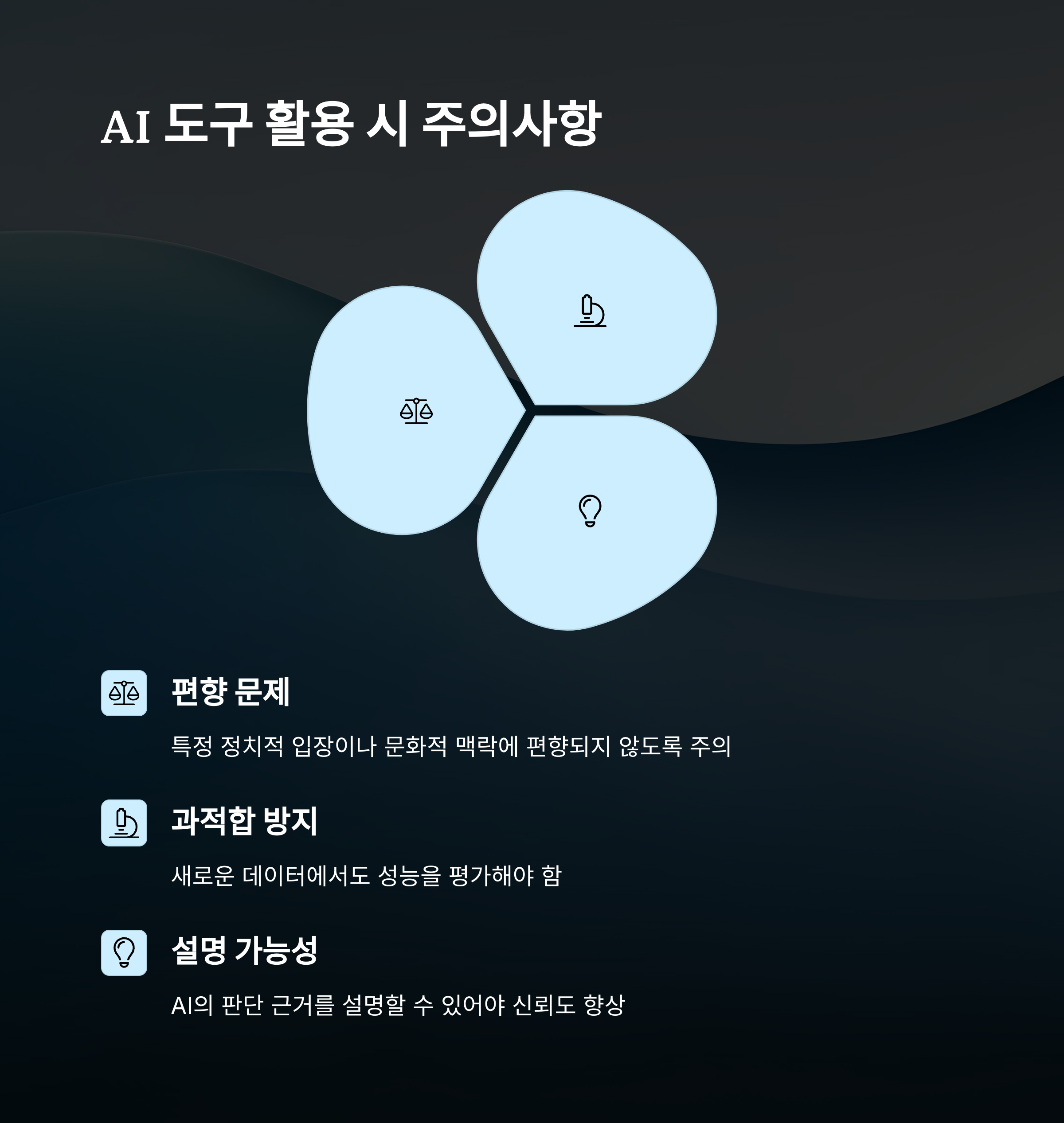 AI 주의사항