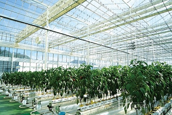 스마트농업 기술발전과 미래