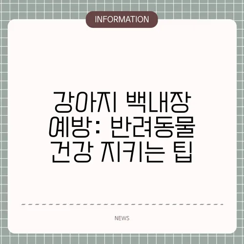 강아지 백내장 예방: 반려동물 건강 지키는 팁