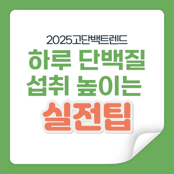 고단백 식단 & 간식 완전 가이드|하루 단백질 섭취 높이는 실전 팁