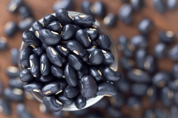 검은콩