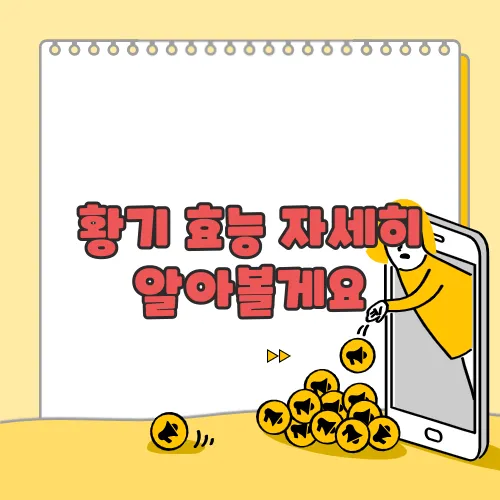 황기 효능 자세히 알아볼게요