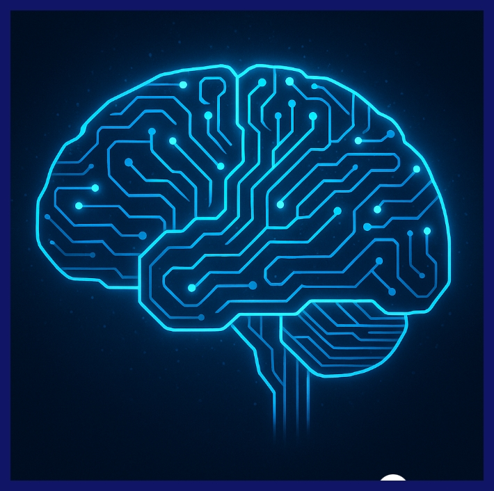 신경가소성과 습관 형성 기초 뇌 구조