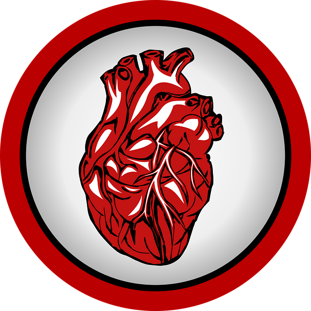 큰 일교차 주의! 심혈관질환 원인부터 전조증상, 치료까지