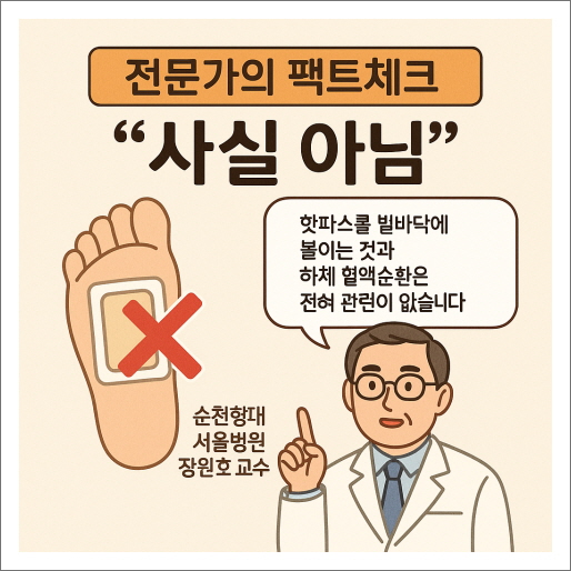 전문가 팩트체크: "다리 부기 효과는 과장"