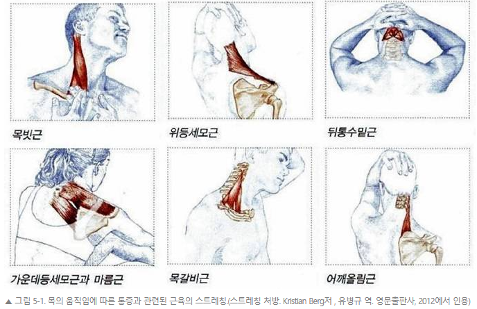 목 스트레칭
