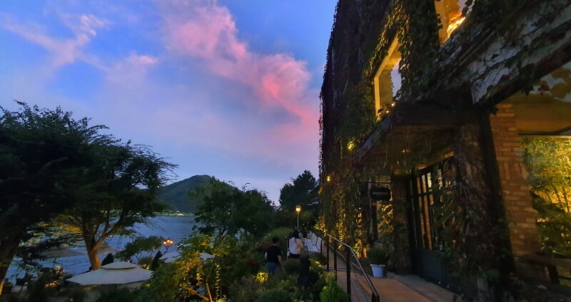 카페-대너리스-덩굴-노을