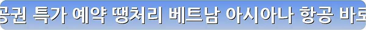 다낭 항공권 특가 예약 땡처리 베트남 아시아나 항공_5