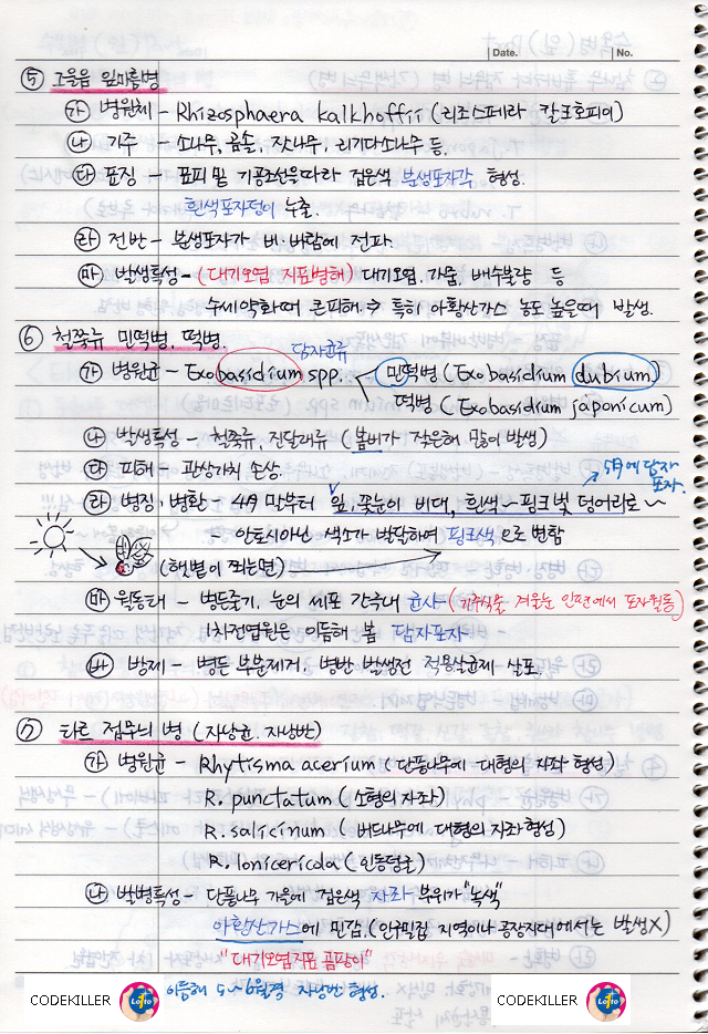 그을음 잎마름병&#44; 철쭉류 민떡병/떡병&#44; 타르점무늬병