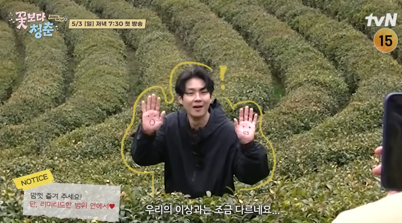 꽃보다 청춘 리미티드 에디션