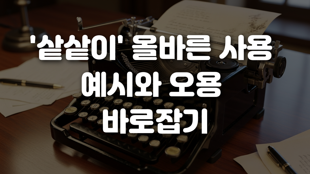 샅샅이 올바른 사용 예시와 오용 바로잡기