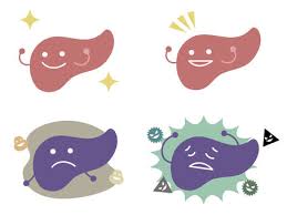 지방간 없애는 방법