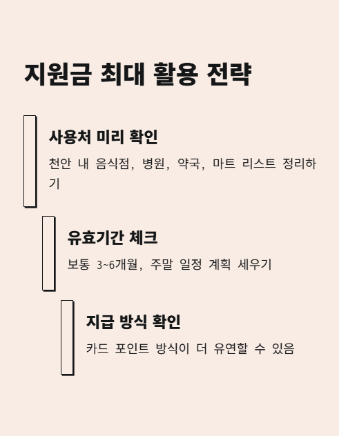 지원금 최대 활용 전략