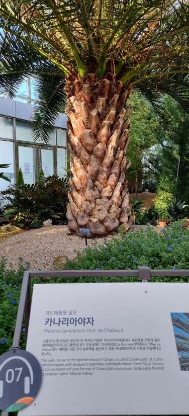 세종 국립 수목원