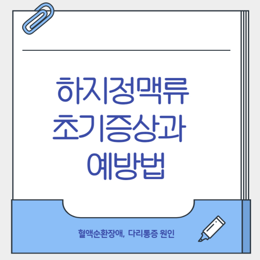 하지정맥류 초기증상과 예방법
