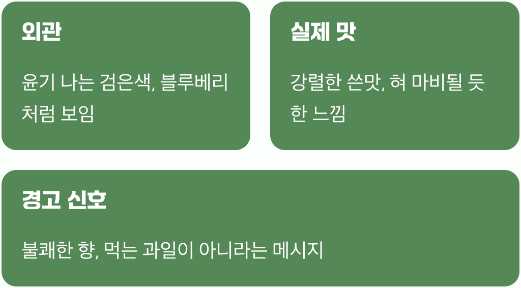 겉모습은 블루베리&amp;#44; 맛은?