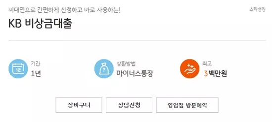 KB 비상금대출