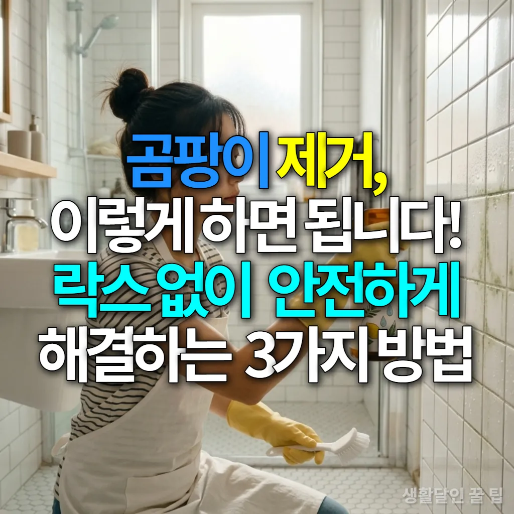 락스 없이 곰팡이를 안전하게 제거하고 예방하는 방법을 보여주는 이미지