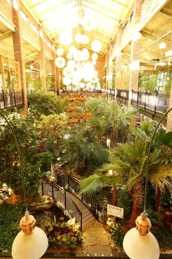 실내정원 꾸미기 화분선택 배치요령 물주기 통풍 어르신도 쉬운 동선_7