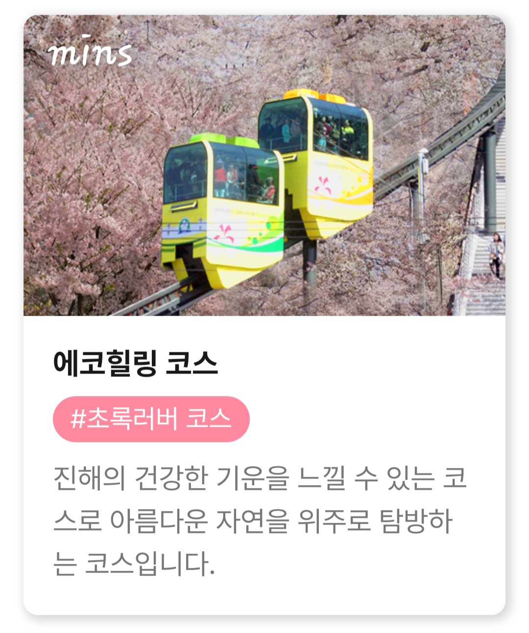 진해군항제 추천코스