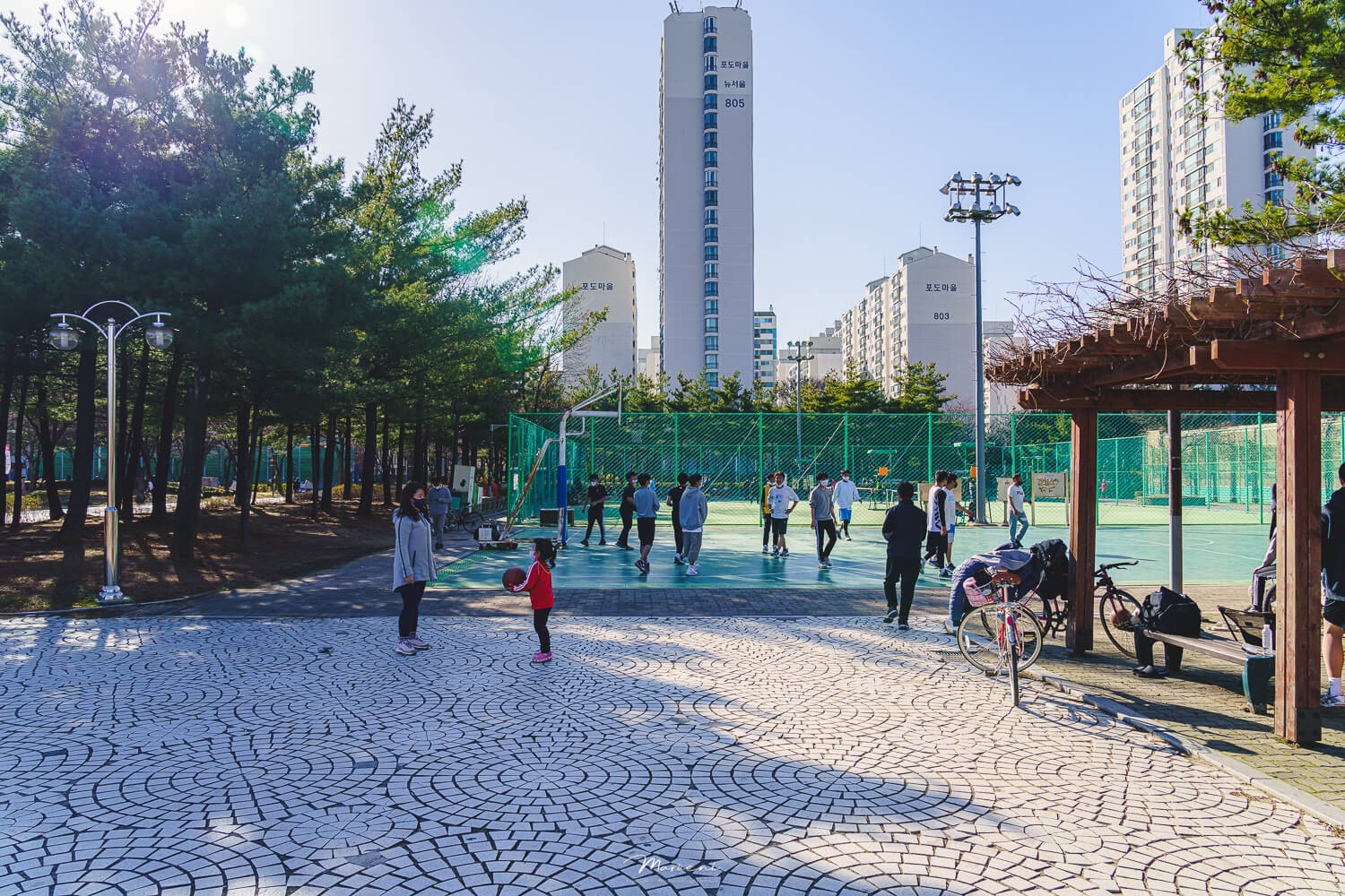 중앙공원 애견운동장