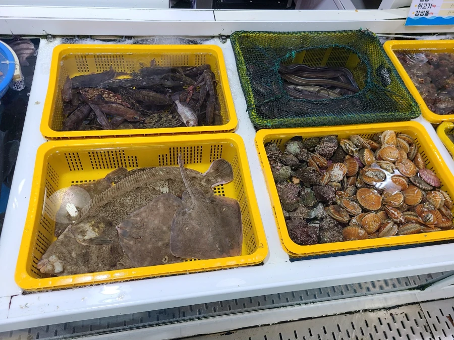 삼천포 용궁수산시장 수산물들
