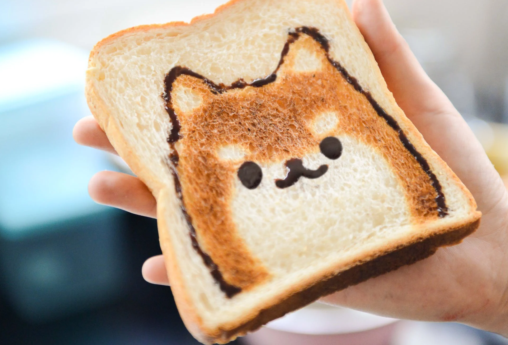 아침에 먹으면 좋은 식품 식단 자기 관리 통곡물 토스트