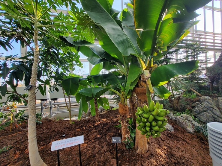 국립농업박물관