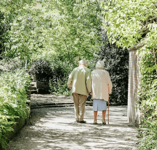 연금 개혁 본격화! 내 노후 자산 포트폴리오 점검 필수