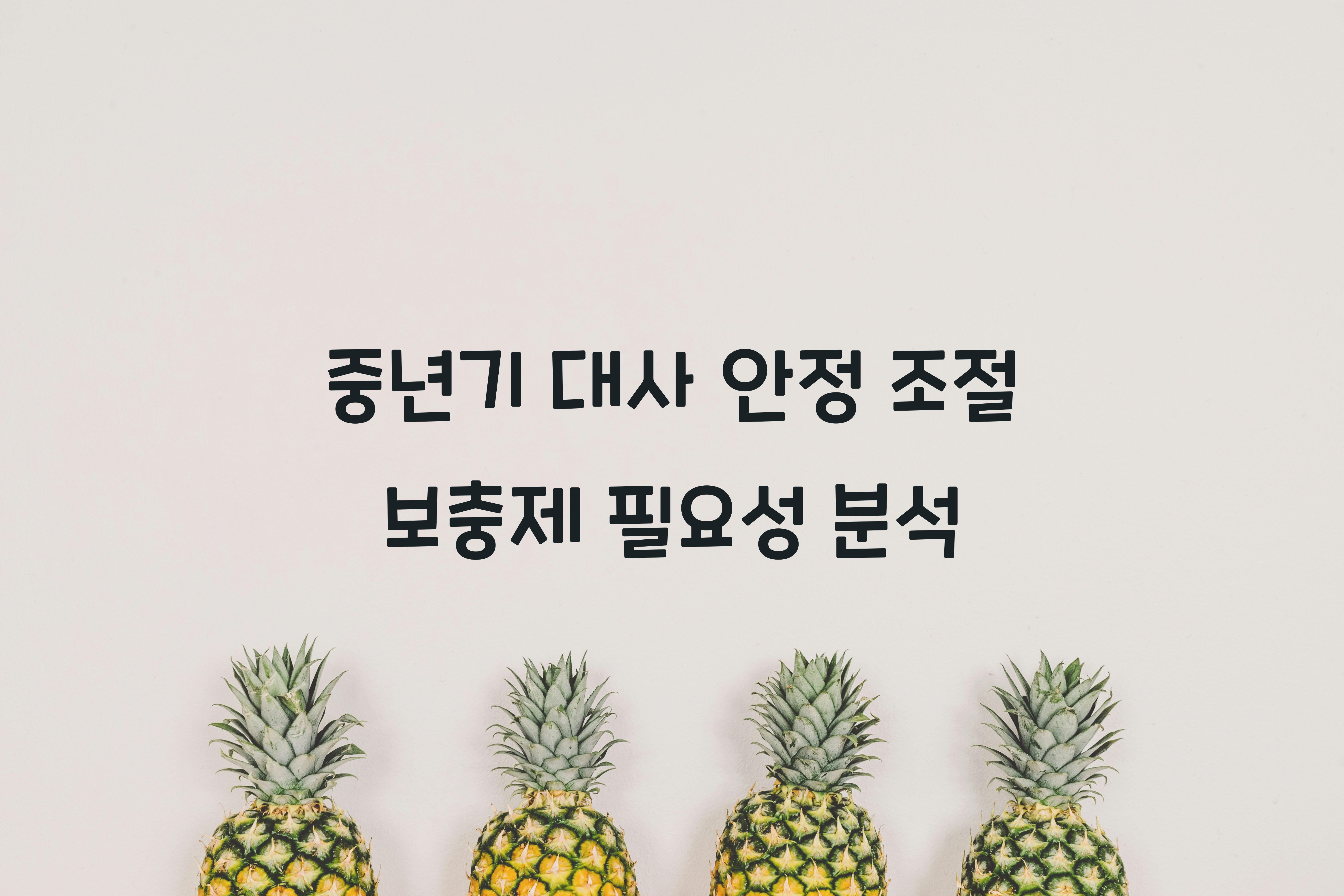 중년기 대사 안정 조절 보충제
