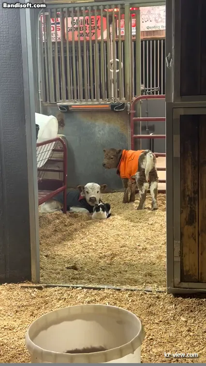 img.webp?credential=yqXZFxpELC7KVnFOS48ylbz2pIh7yKj8&expires=1767193199&allow_ip=&allow_referer=&signature=dzKJ6mAUOehGoFW0Lnj9uLZXAP8%3D